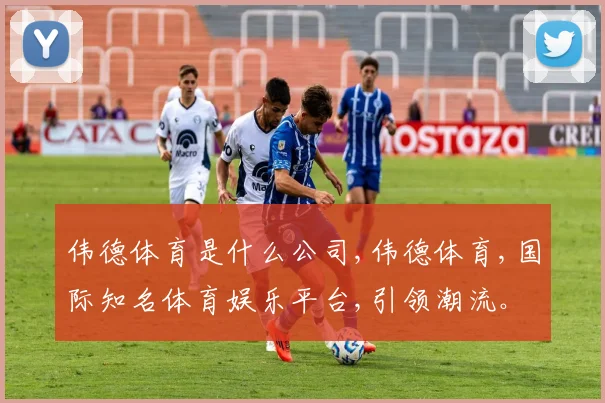 伟德体育是什么公司,伟德体育,国际知名体育娱乐平台,引领潮流。