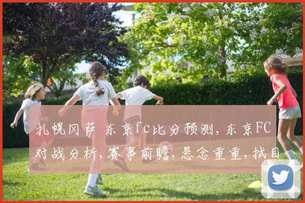 扎幌冈萨 东京fc比分预测,东京FC对战分析,赛事前瞻,悬念重重,拭目以待