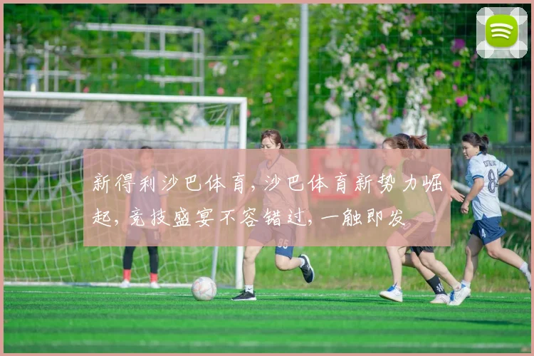 新得利沙巴体育,沙巴体育新势力崛起,竞技盛宴不容错过,一触即发