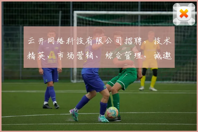 云开网络科技有限公司招聘，技术精英、市场营销、综合管理，诚邀加入，共创辉煌，三岗等你来挑战