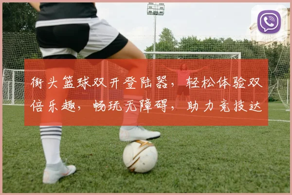 街头篮球双开登陆器，轻松体验双倍乐趣，畅玩无障碍，助力竞技达人