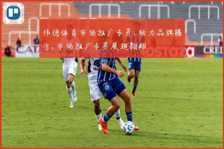伟德体育市场推广专员,助力品牌腾飞,市场推广专员展翅翱翔