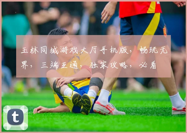 玉林同城游戏大厅手机版，畅玩无界，三端互通，独家攻略，必看