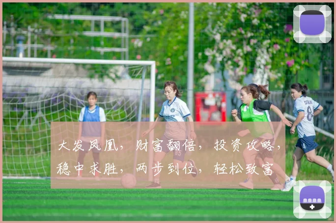 大发凤凰，财富翻倍，投资攻略，稳中求胜，两步到位，轻松致富