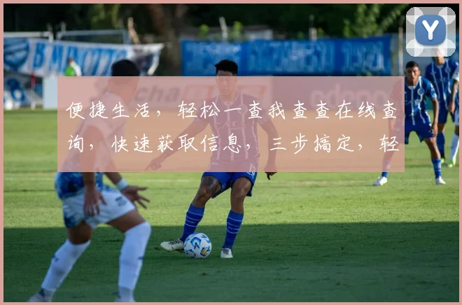 便捷生活，轻松一查我查查在线查询，快速获取信息，三步搞定，轻松享受
