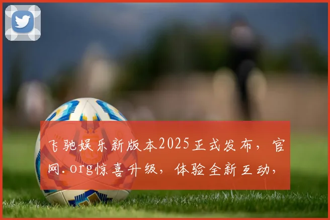 飞驰娱乐新版本2025正式发布，官网.org惊喜升级，体验全新互动，不容错过，三重福利等你来