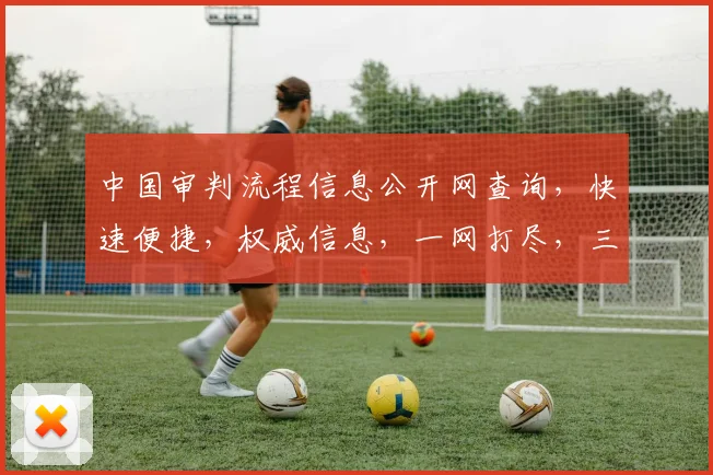 中国审判流程信息公开网查询，快速便捷，权威信息，一网打尽，三步轻松获取。