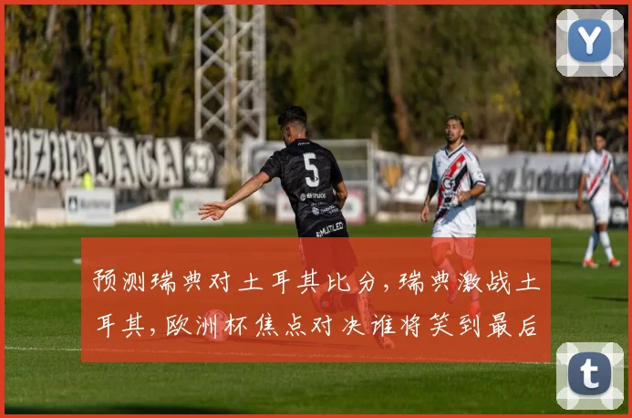 预测瑞典对土耳其比分,瑞典激战土耳其,欧洲杯焦点对决谁将笑到最后